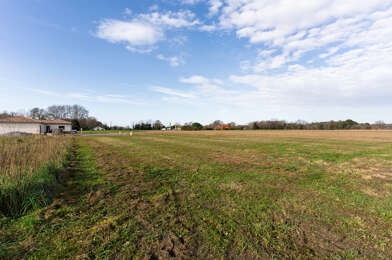 Terrain  200000 €