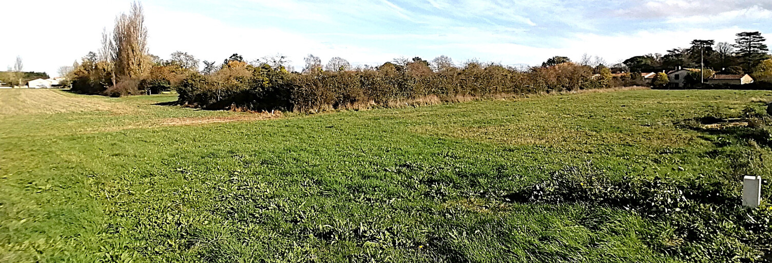 Terrain  550 m² à vendre à Sèvres-Anxaumont (86800)