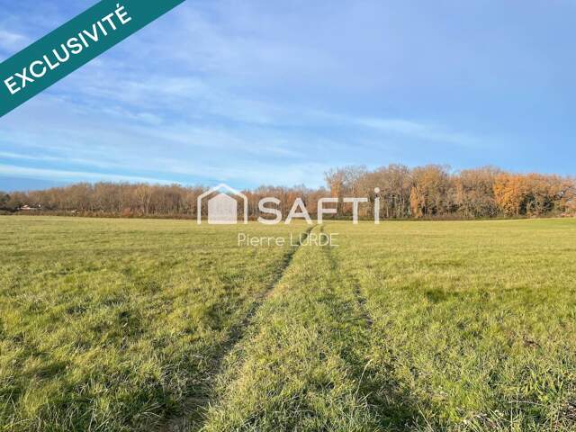 Terrain agricole plat et irrigué de 12,5 hectares — photo du bien