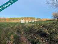 Terrain agricole plat et irrigué de 12,5 hectares — photo 3