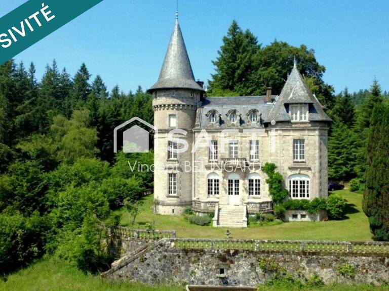 Château 15 pièces et 3 Gîtes indépendants avec piscine — photo 1