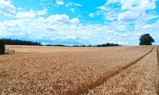 Terrain  12138 m² à vendre à Bon-Encontre (47240)