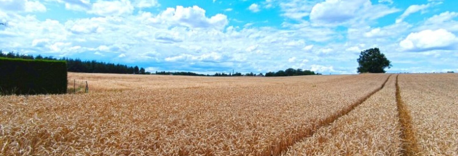 Terrain  12138 m² à vendre à Bon-Encontre (47240)