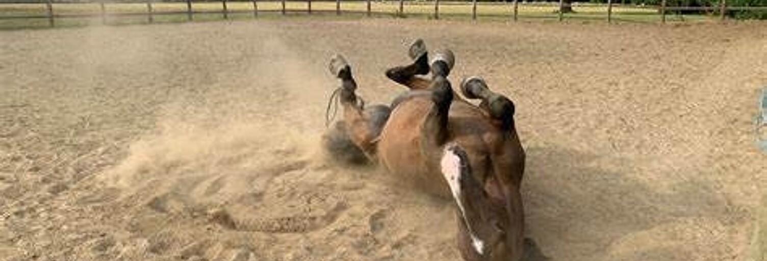 Maison 5 Pièces 105 m² à vendre à Savigny-sur-Clairis (89150)