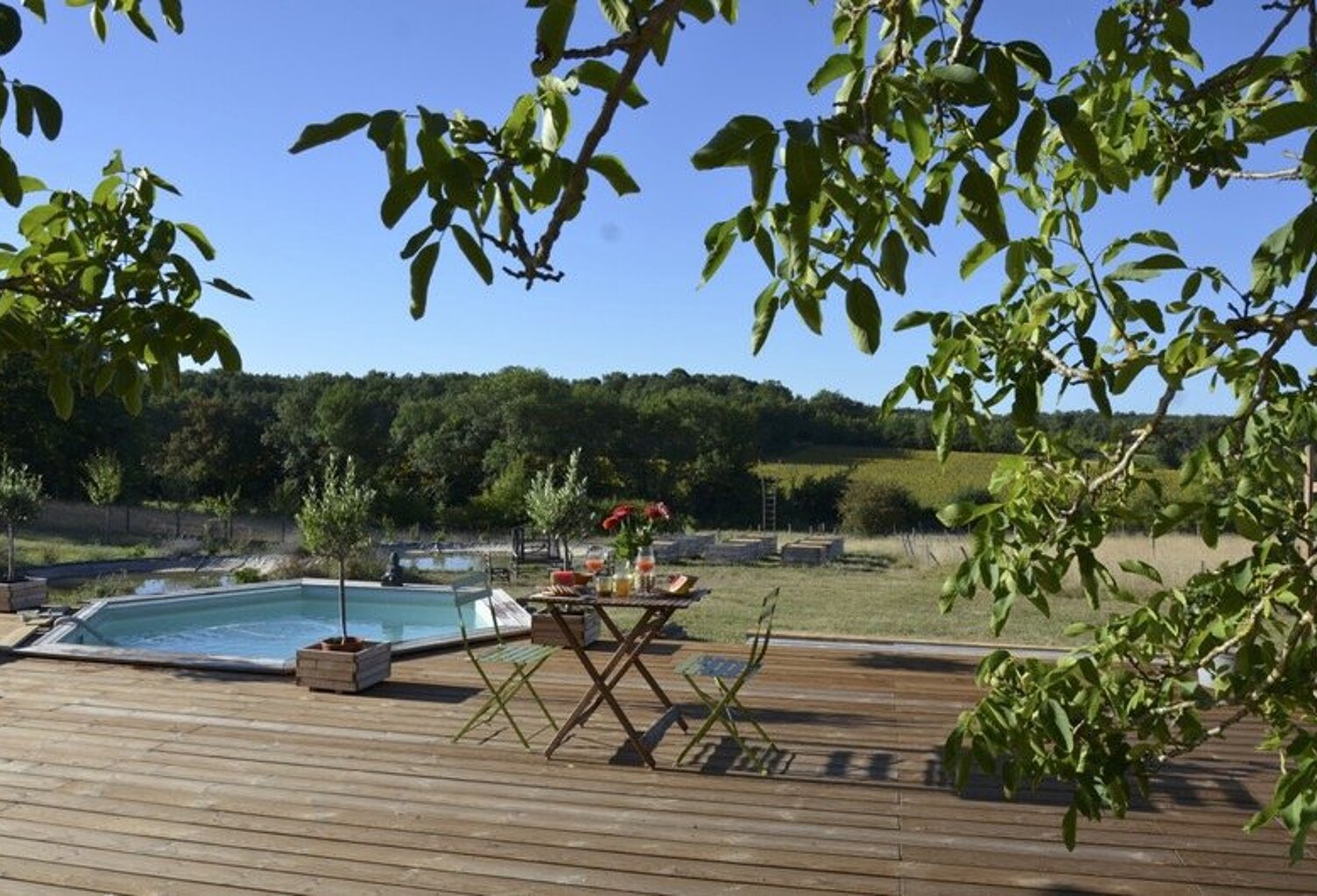 Propriété — photo 1