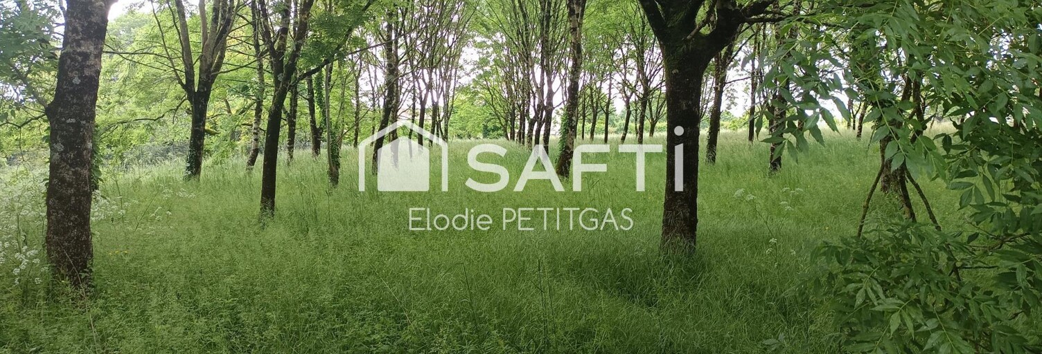 Terrain  7032 m² à vendre à Fontenay-le-Comte (85200)