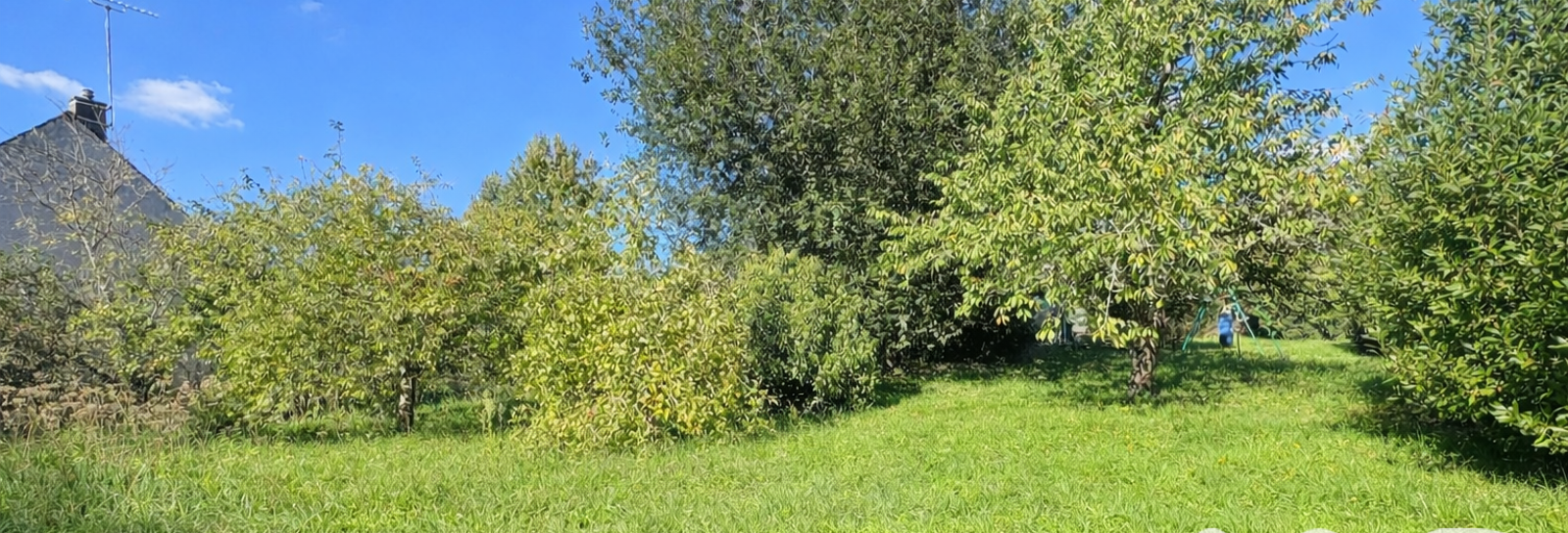 Terrain  262 m² à vendre à Bonnelles (78830)