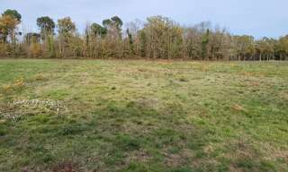 Terrain  4400 m² à vendre à Bazas (33430)