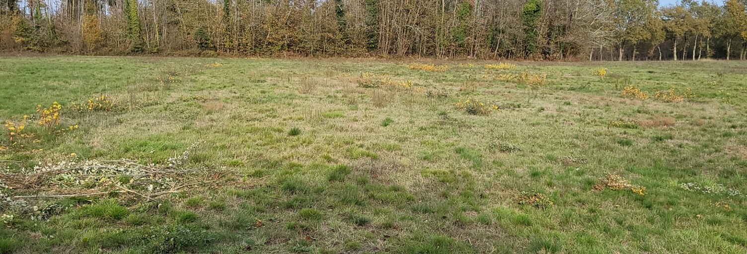 Terrain  4400 m² à vendre à Bazas (33430)