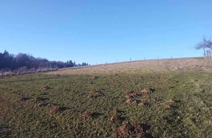 Terrain à bâtir de 0 pièces principales — photo 3