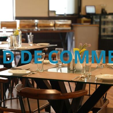 Commerce  110000 €