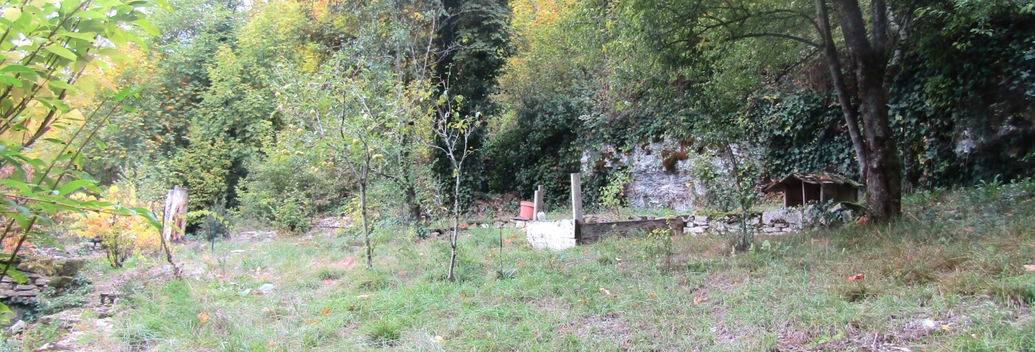 Maison 5 Pièces 110 m² à vendre à Doulaincourt-Saucourt (52270)