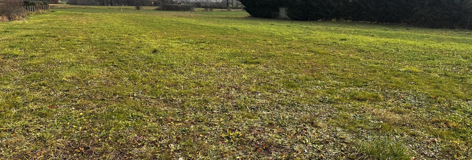 Terrain  1485 m² à vendre à Marcilly-le-Châtel (42130)
