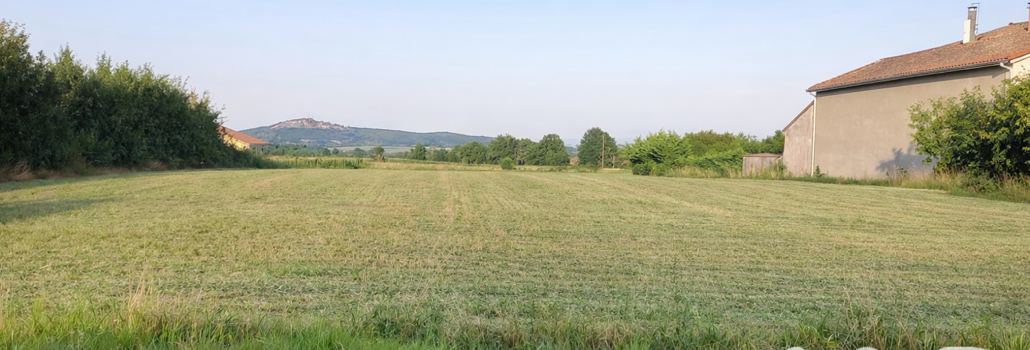 Terrain  1485 m² à vendre à Marcilly-le-Châtel (42130)