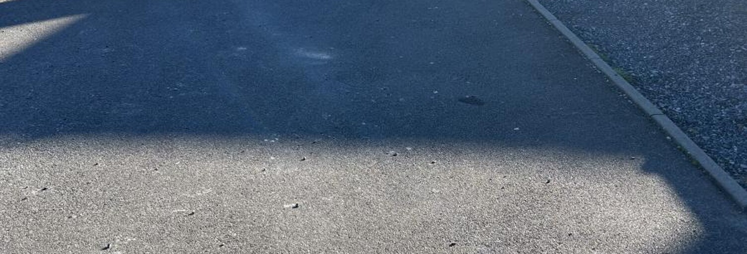 Garage  310 m² à vendre à Raillencourt-Sainte-Olle (59554)