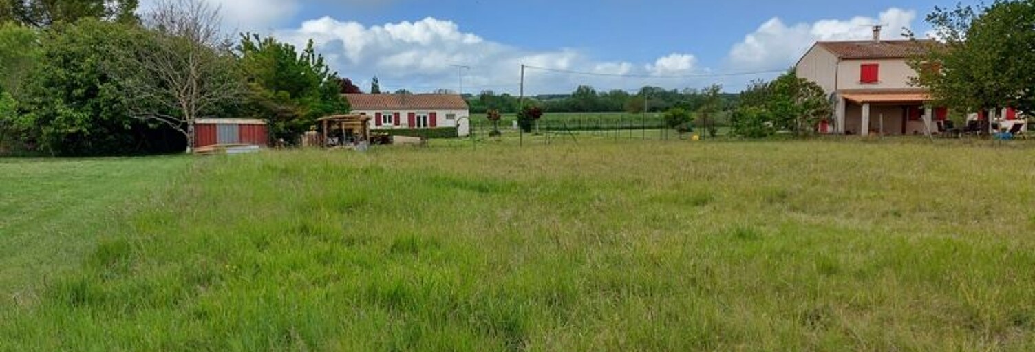 Photo N° 2