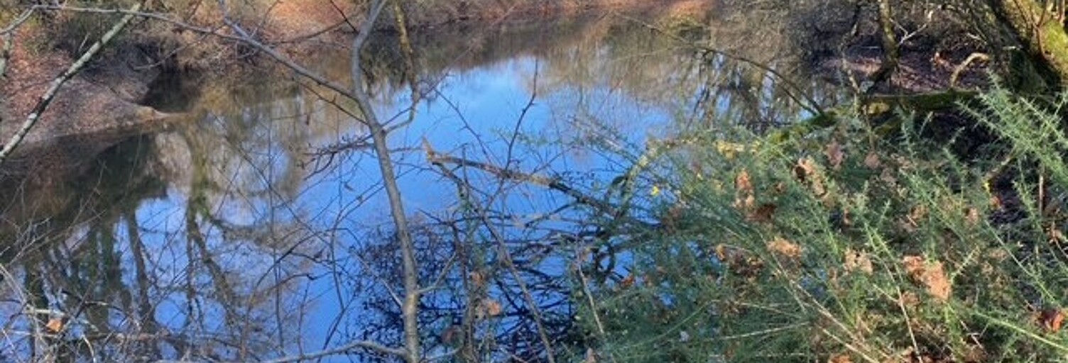 Terrain  3340 m² à vendre à Beaupréau-en-Mauges (49600)