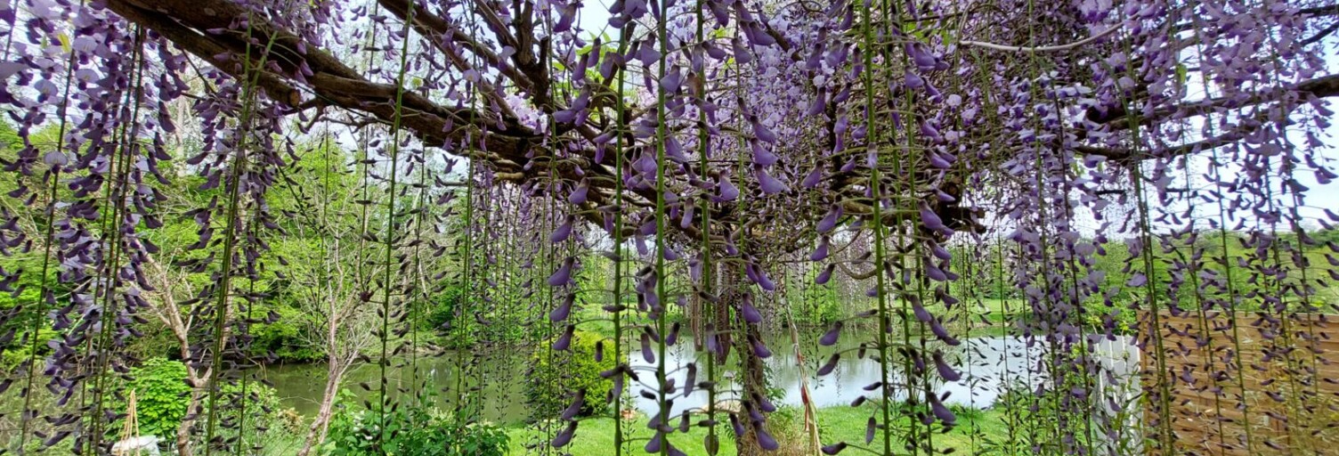 Maison 4 Pièces 180 m² à vendre à Conflandey (70170)