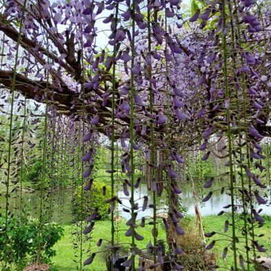 Maison 4 pièces 194000 €