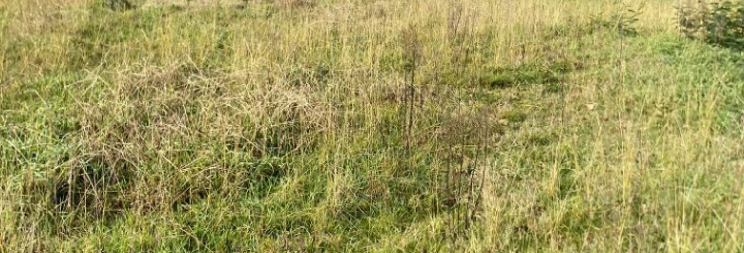 Terrain  400 m² à vendre à Le Taillan-Médoc (33320)