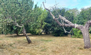 Terrain  830 m² à vendre à Montpon-Ménestérol (24700)