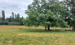 Terrain  1200 m² à vendre à Ménesplet (24700)