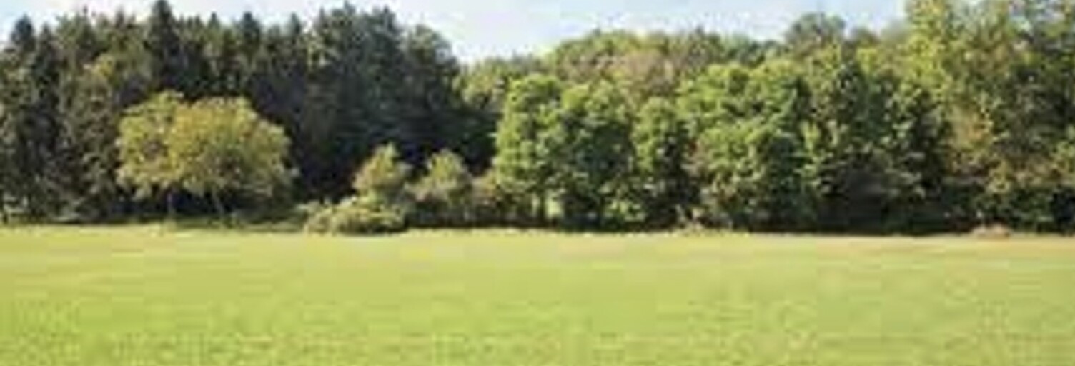 Terrain  700 m² à vendre à Martillac (33650)