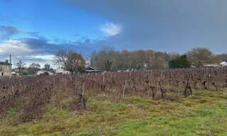 Terrain 460 m² à construire Castres-Gironde (33640)