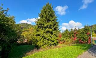 Terrain  521 m² à vendre à Rothbach (67340)