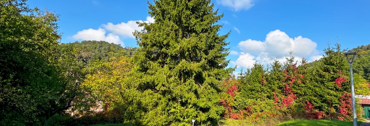 Terrain  521 m² à vendre à Rothbach (67340)