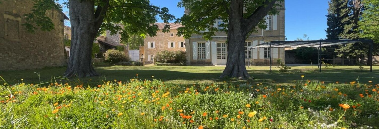 Maison 19 Pièces 900 m² à vendre à Saint-Geniès-de-Comolas (30150)