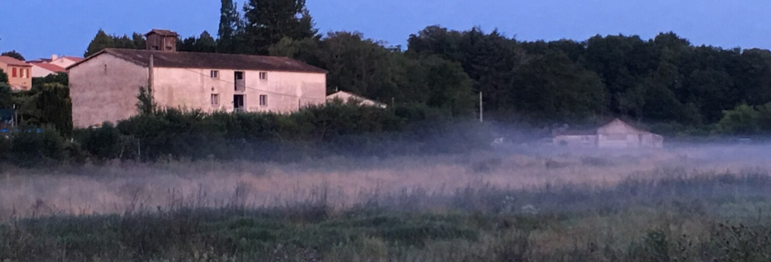 Local industriel 12 Pièces 540 m² à vendre à L'Hermenault (85570)