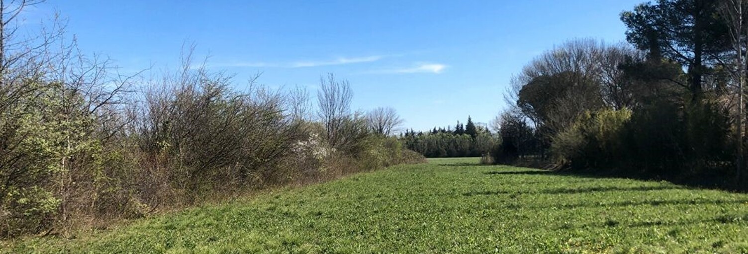 Terrain 1050 m² à construire Saint-Maximin-la-Sainte-Baume (83470)