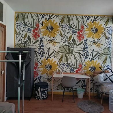 Appartement 1 pièces 360 €