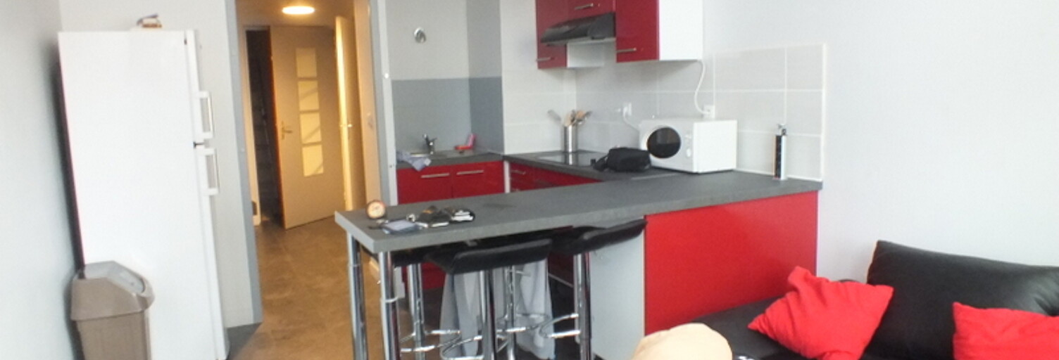 Appartement 1 Pièce 44 m² à louer à Villeurbanne (69100)