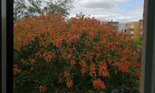 Appartement 1 Pièce 23 m² à louer à Toulouse (31000)