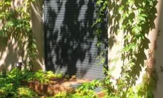 Appartement 1 Pièce 19 m² à louer à Strasbourg (67000)