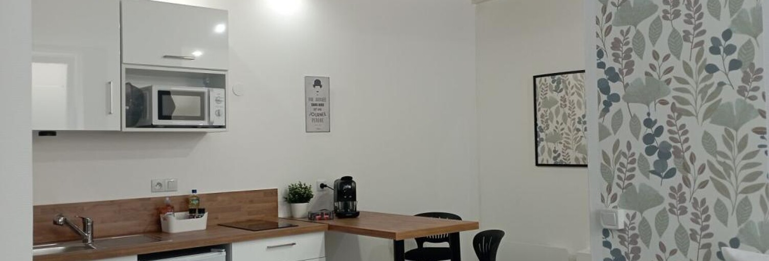 Appartement 1 Pièce 25 m² à louer à Roanne (42300)