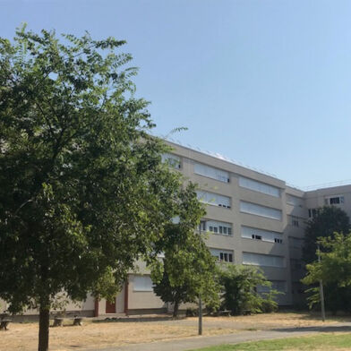 Appartement 3 pièces 561 €