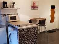 Studio meublé avec locataire en place à Saint Etienne 1 pièce 27 m2 — photo 3