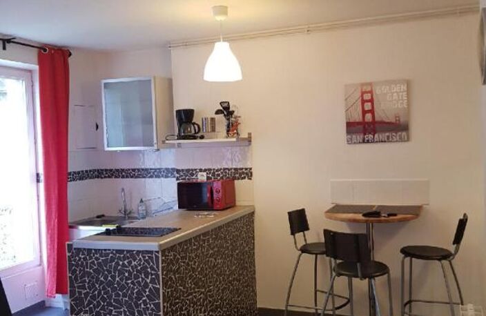 Studio meublé avec locataire en place à Saint Etienne 1 pièce 27 m2 — photo 4