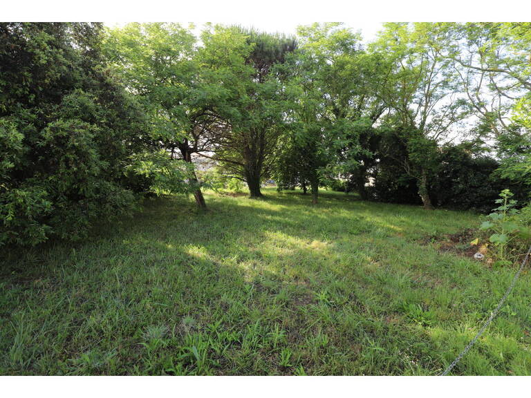 Terrain — photo 1