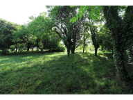 Terrain — photo 2
