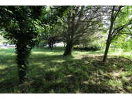 Terrain — photo 3