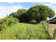 Terrain — photo 4