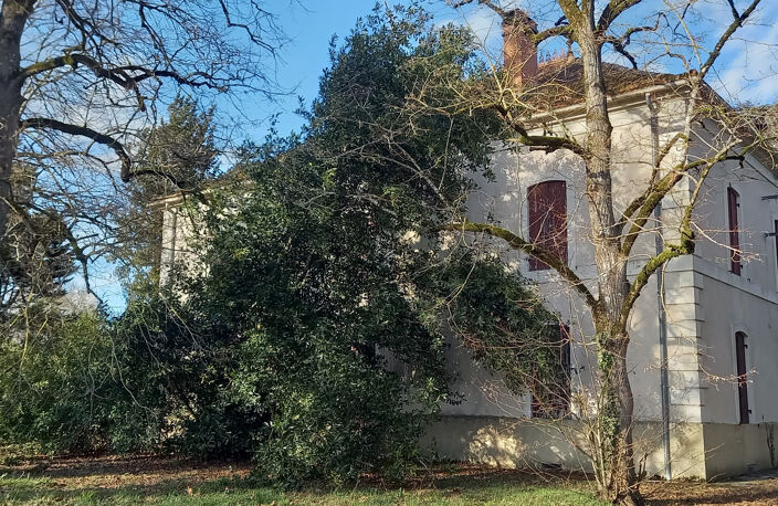 Poche de Miramont maison avec un magnifique potentiel — photo 4