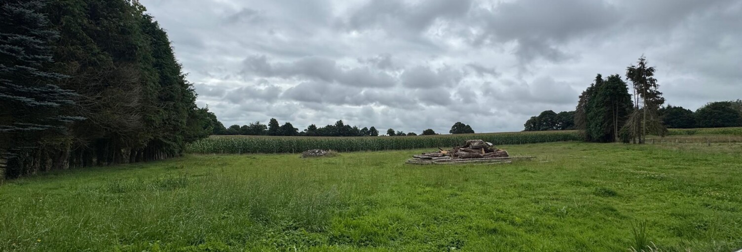 Terrain  3000 m² à vendre à Landéan (35133)