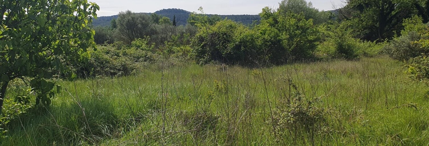 Terrain  2277 m² à vendre à Flassans-sur-Issole (83340)