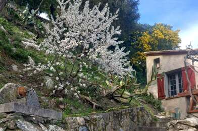 Maison 5 pièces 366000 €