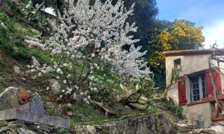 Maison 5 Pièces 120 m² à vendre à Céret (66400)